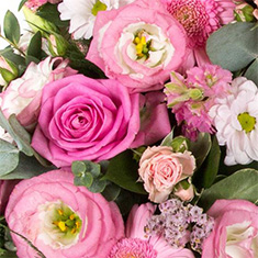 Ronaldo&#39;s Choice Seasonal Arrangement