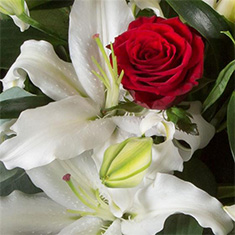 Ronaldo&#39;s Romantic Florist Choice Bouquet 
