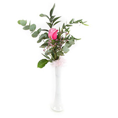 Ronaldo&#39;s Single Rose Choose your colour 