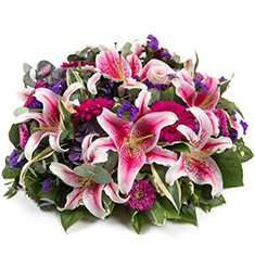 Stargazer Lilly Posy Pad
