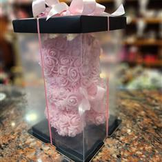 Pink Bear in the Box