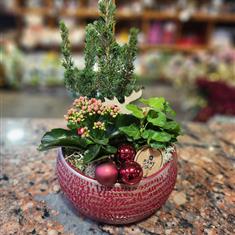 Christmas Planter 