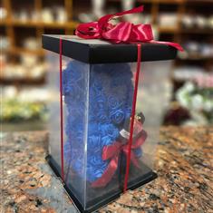 Navy Blue Bear in the Box