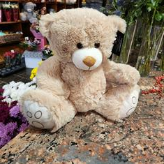 Large Bear Brown 