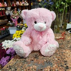 Pink large Bear 