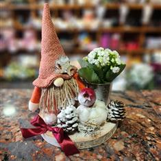 Gnome Arrangement 