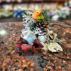 Snowy Robin and Pincone Arrangement 