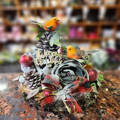 Robin Christmas Arrangement Large