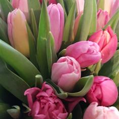 Ronaldo's Choice mixed flower and Tulip Bouquet 