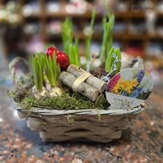 Mixed bulb Basket Large