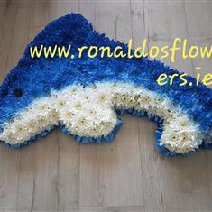 Dolphin large