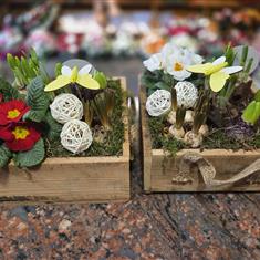 Mixed plant box large