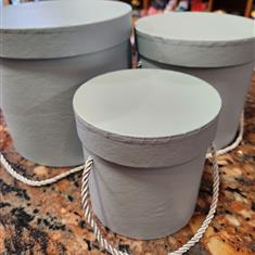 Duck Egg Color Surprise Box  3 sizes