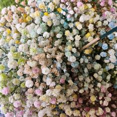 Baby&#39;s Breath Bouquet