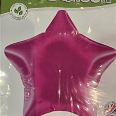 Fuchsia Star