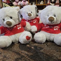 I Love You Bear 20cm