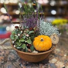 Autumn Bowl