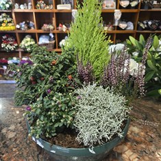 Autumn Plants in Bowl Large