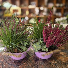 Small Autumn Purple Bowl