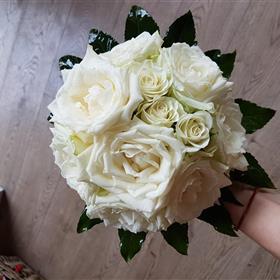 fwthumb20190827_082716.jpg