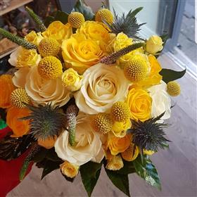 fwthumbIMG_20190227_121959_805.jpg